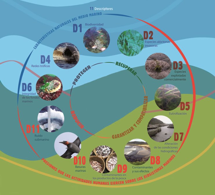 11 descriptores del Buen Estado Ambiental