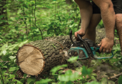 IMPULSO DE LA NUEVA LEY PARA GARANTIZAR PRODUCTOS LIBRES DE DEFORESTACIÓN