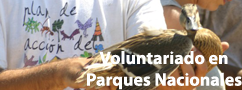 Programa de voluntariado en parques nacionales