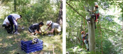 Actividades de voluntariado en la finca de Ribavellosa