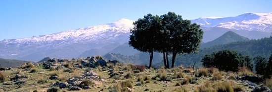 Panorámica de Sierra Nevada