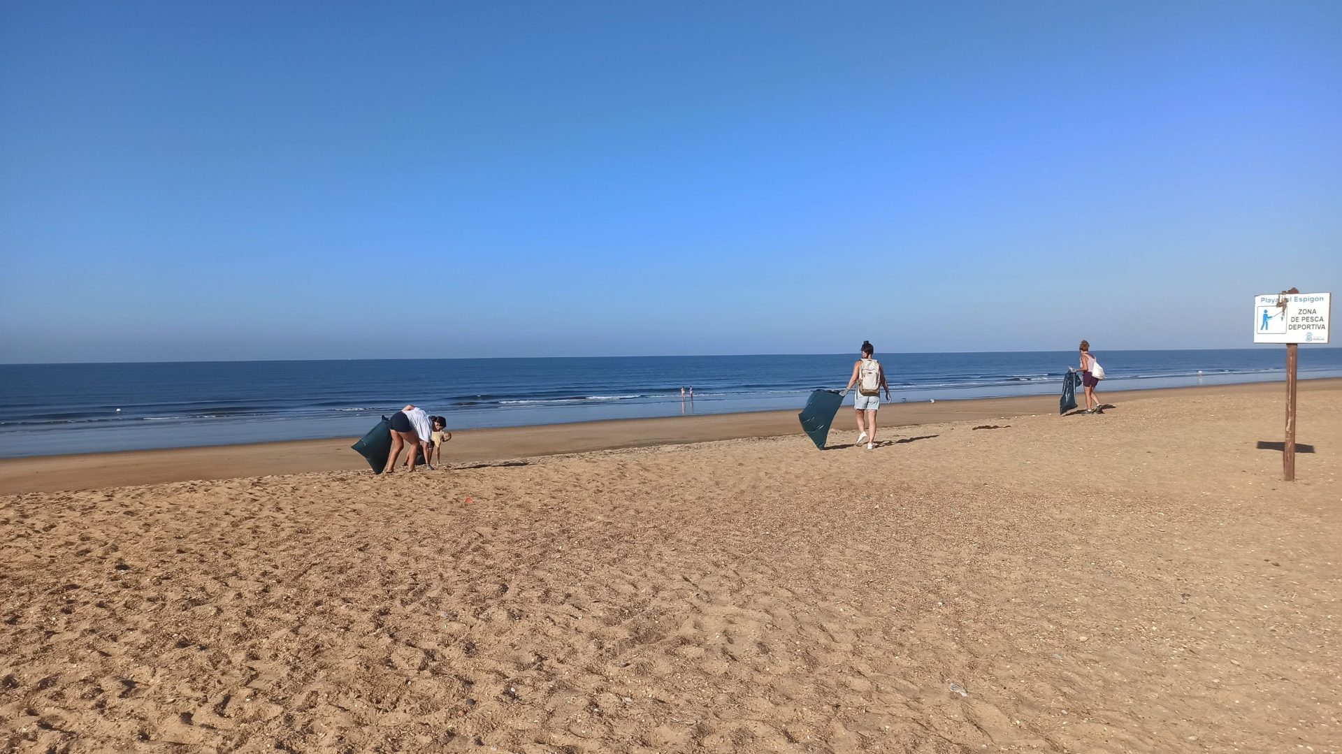 Voluntariado en Doñana