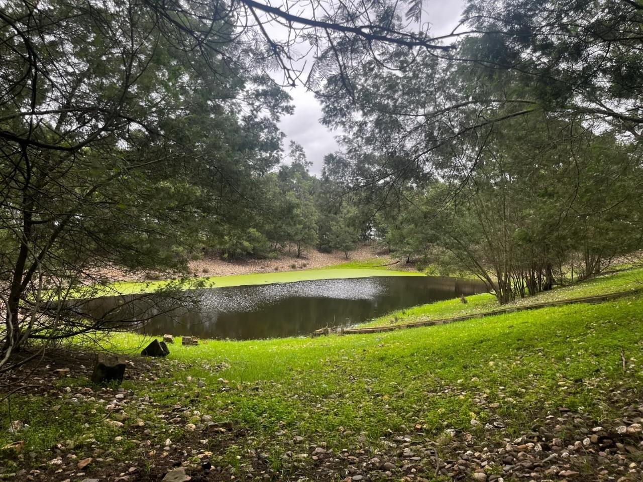 Laguna en Doñana