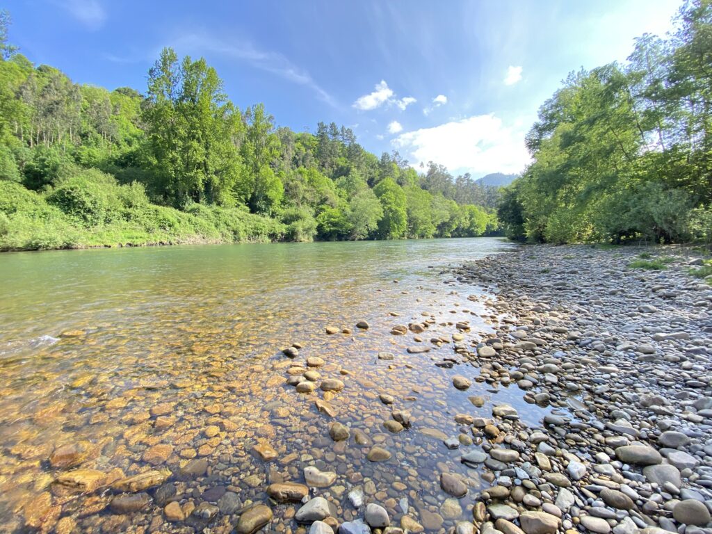 Río Nalón en Agones (Asturias)