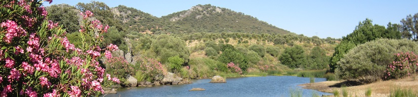 Reserva natural fluvial del Río Guadarranque. Cáceres. CH Guadiana.