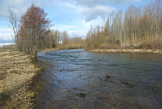 Río Órbigo. (León)