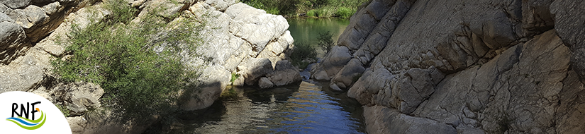 Reserva Natural Fluvial Alto Guadalevín