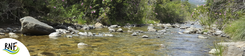 Reserva Natural Fluvial Cabecera Verde de Marbella