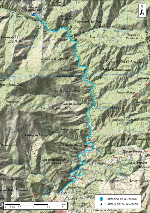 Mapa detalle Medio-Alto Verde de Marbella