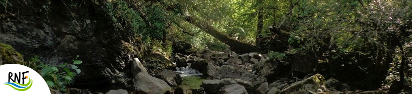 Reserva natural fluvial Río Bullón