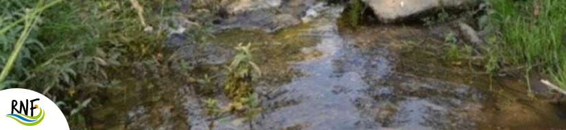 Reserva Natural Fluvial Cabecera del Rigard 