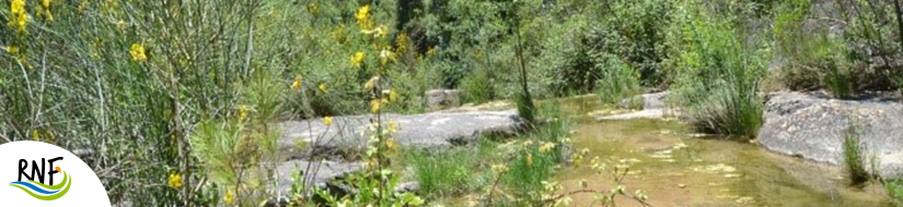 Reserva Natural Fluvial Gorgues del Foix