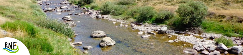 Reserva Natural Fluvial Alto Carrión