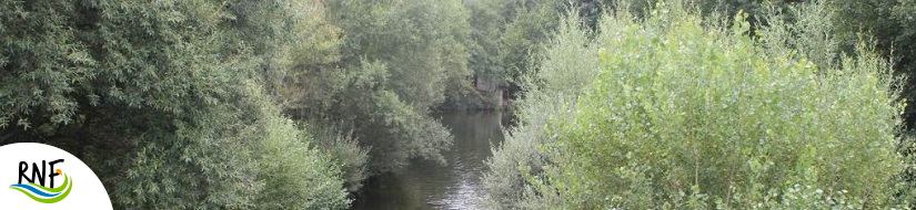 Reserva Natural Fluvial Alto Omaña