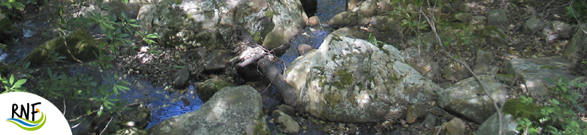 Reserva Natural Fluvial Garganta del Aliscar 