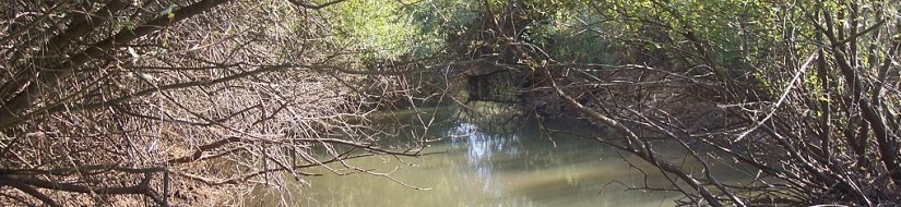 Reserva natural fluvial del Río Gargáligas