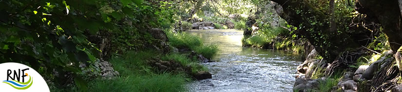 Reserva Natural Fluvial de Río Ancares