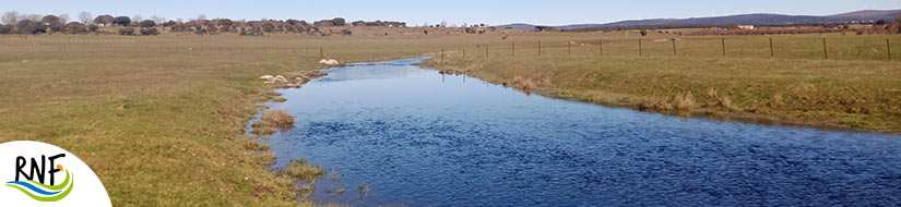 Reserva natural fluvial Río Alagón
