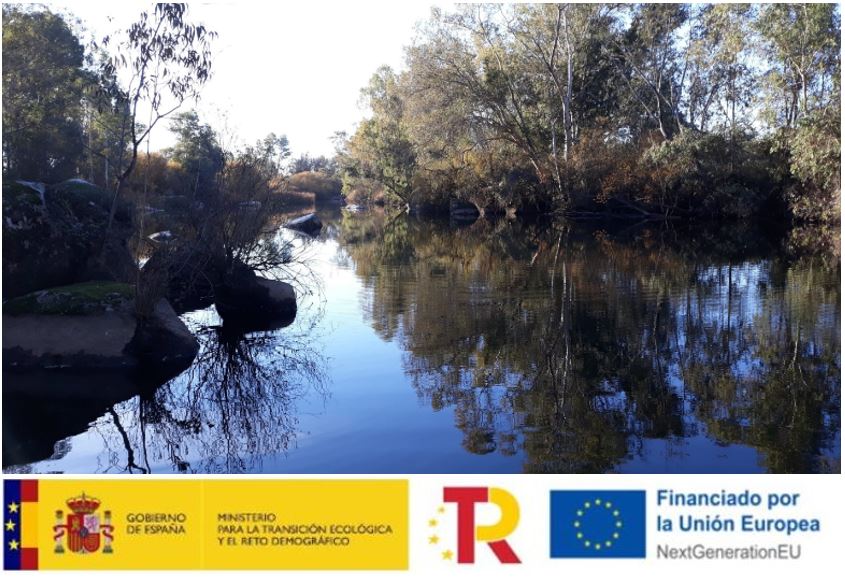Restauración fluvial río Zapatón (Badajoz)