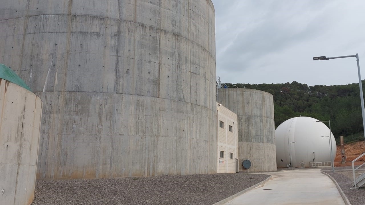 Depuración de Ibiza