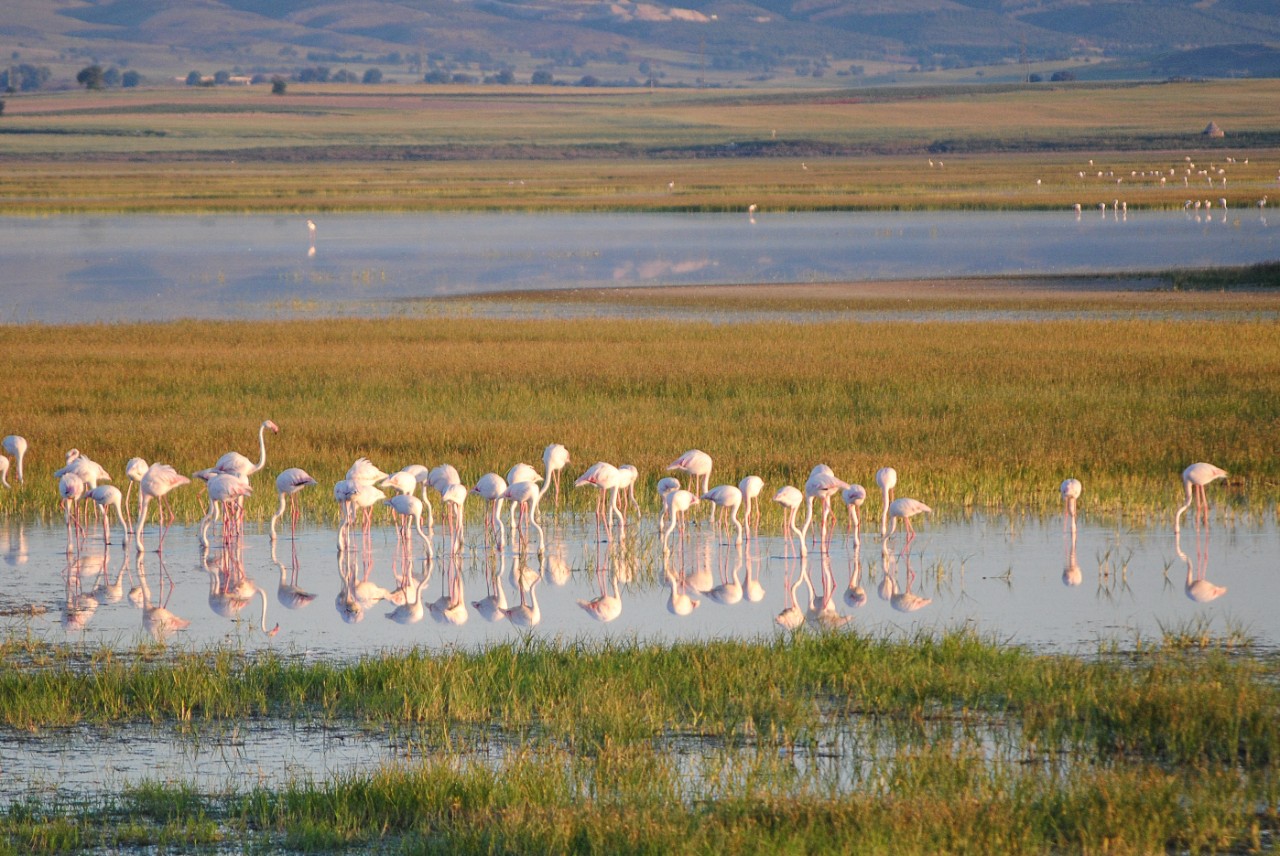 Laguna de El Hito. Foto: JCCM