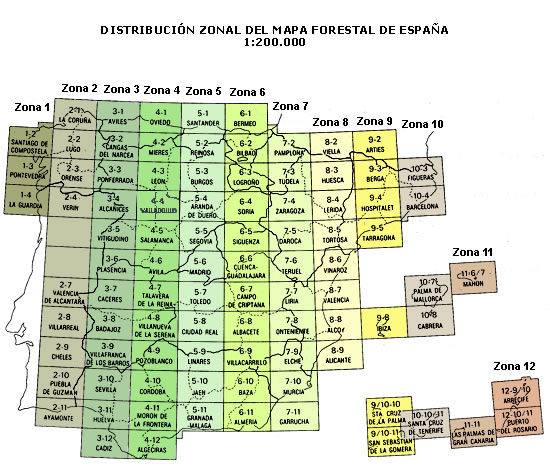 Distribución zonal del Mapa Forestal de España 1 : 200.000