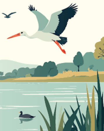 Recomendaciones ante la gripe aviar (H5N1)