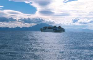 Imagen de fast-ferry extraida del 'Informe sobre el impacto de las actividades de los fast ferrys en las poblaciones de cetáceos de España' accesible desde esta página