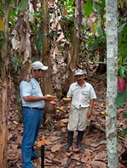 Fotografía de dos hombres en un bosque tropical. Autor: Ernesto Ruiz