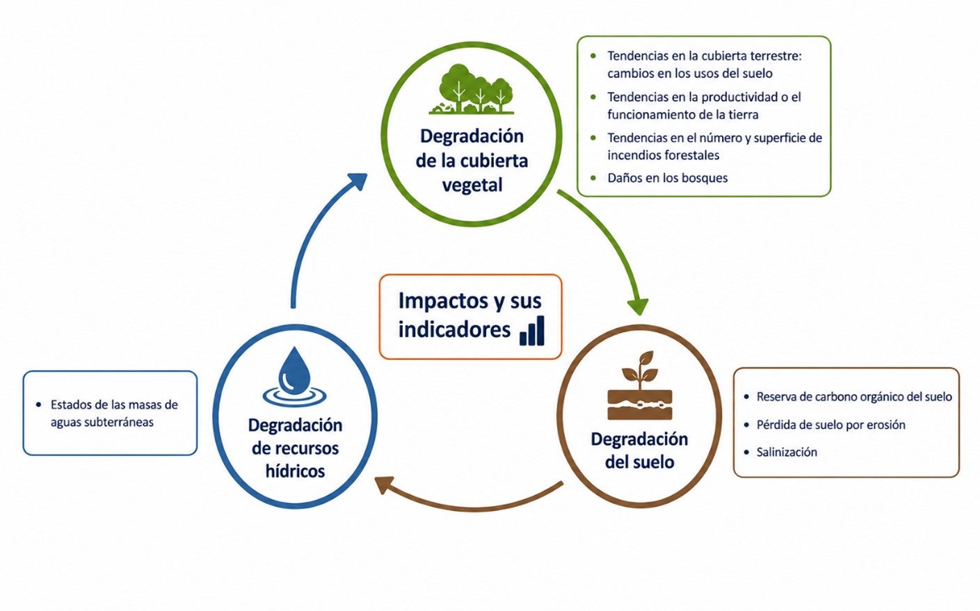 impactos desertificación