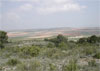 Vista panorámica de la cuenca alta de la Rambla de Perea desde la Estación Experimental de “El Ardal”, Murcia,  enclavada en  el flanco sur. 2003.