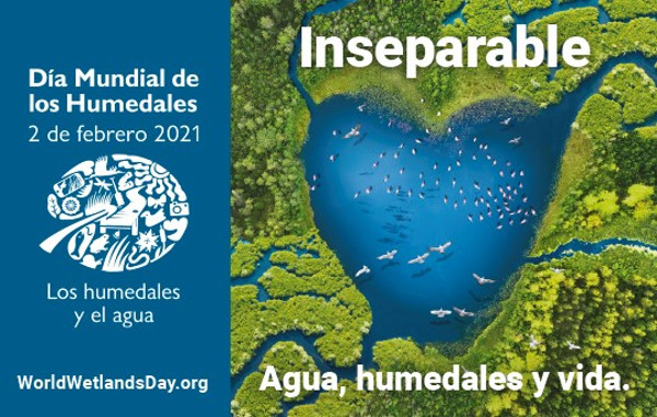 Día Mundial de los Humedales. 2 de febrero de 2021
