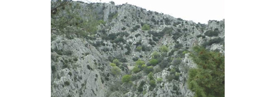 Fotografía de monte con formaciones rocosas