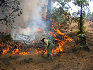 Trabajadores apagando un incendio