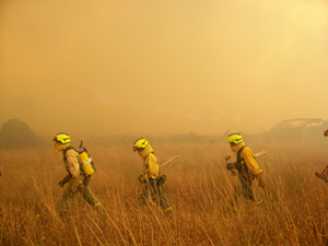 Trabajadores caminando entre el humo de un incendio