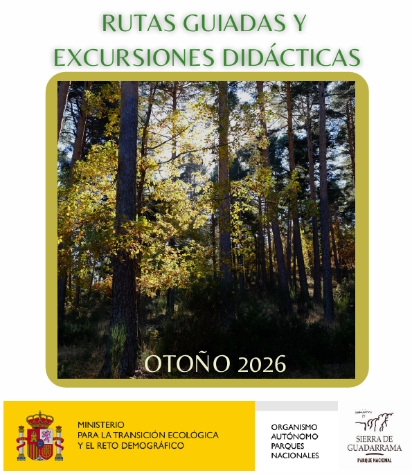 Rutas guiadas y excursiones didácticas - Otoño 2026