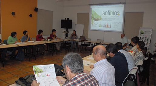 Asistentes al Seminario en una sesión de trabajo