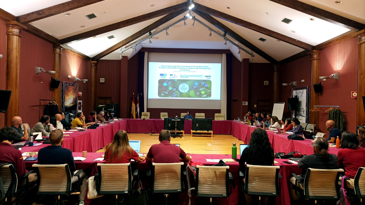 Participantes XIII Seminario de seguimiento de la Red