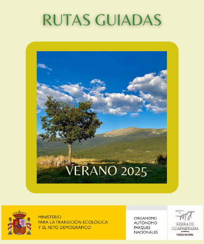 Rutas guiadas - Verano 2025
