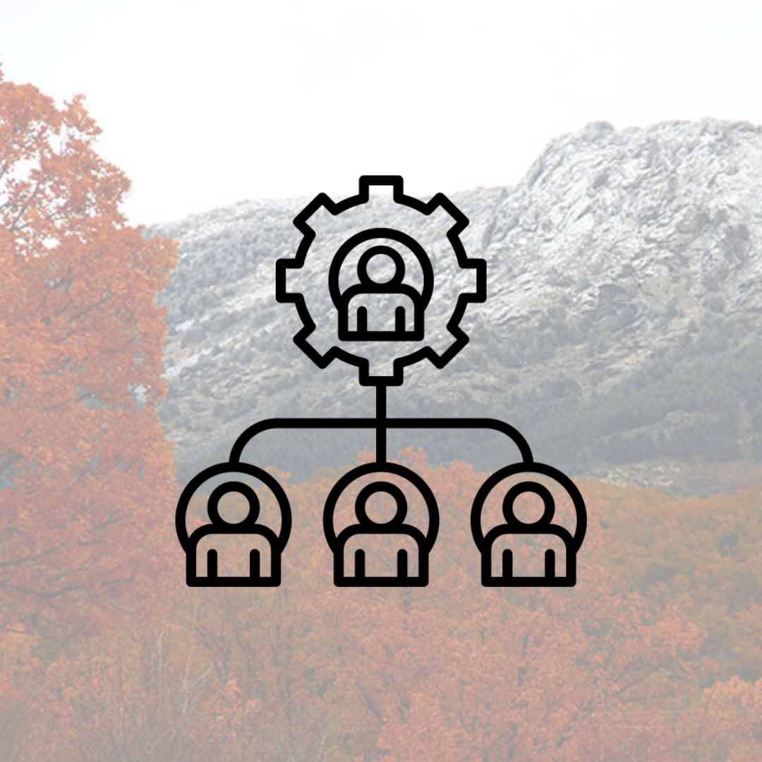Organizadores
