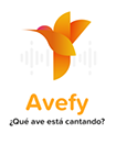 Avefy