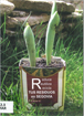 Reduce, reutiliza, recicla tus residuos en Segovia