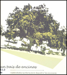 Dibujo de una encina frondosa