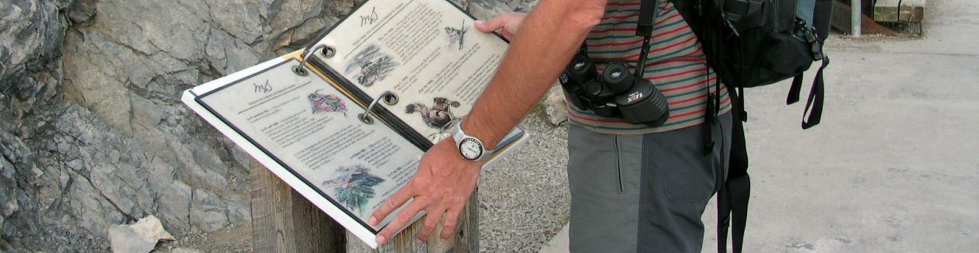 Servicios no atendidos por personal