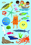The Marine Biodiversity