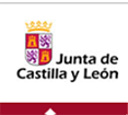 Junta de Castilla y León