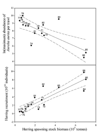 Gráfico de los daños a la pesca. La documentación gráfica utilizada en esta página ha sido cedida amablemente por la Agencia Catalana del Agua, C. Carré, G. Muñoz, D. Diaz, J.M. Gili, I. Franco y F. Pagès