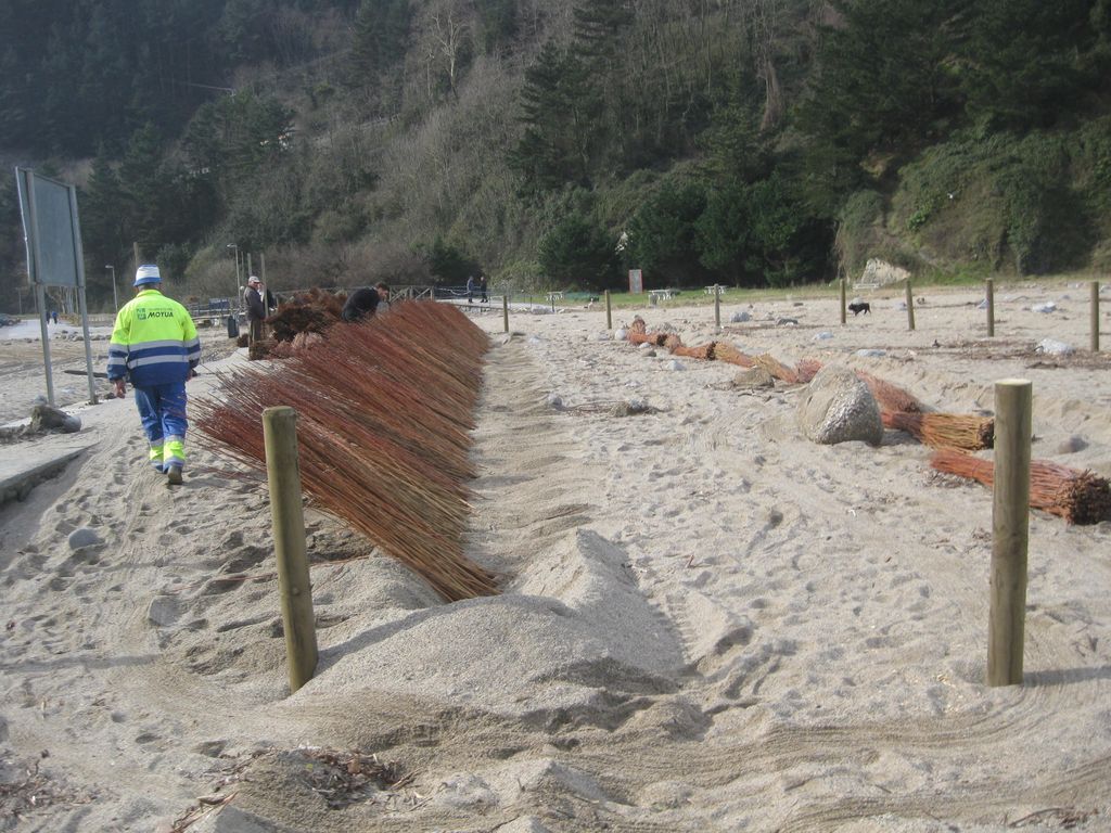 Mejora ambiental de la duna de Saturrarán. Mantenimiento del litoral 2015