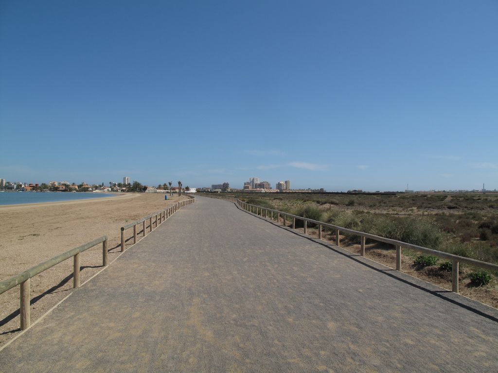 Restauración ambiental del borde litoral de playa Paraiso