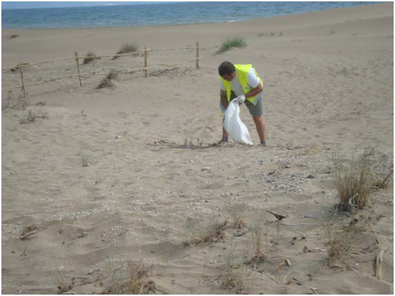 Obras de emergencia para la reparación de daños producidos por los temporales enero y febrero 2015 en diversos cordones dunares y playas de la provincia de Tarragona. 